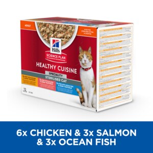 Hills healthy cuisine cat discount